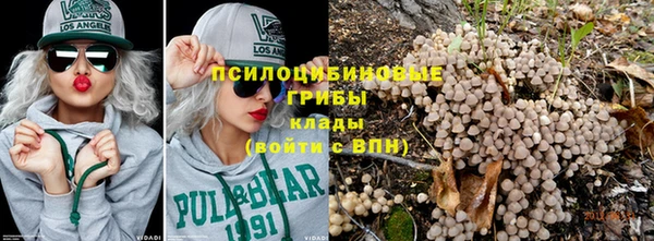 мяу мяу мука Семилуки