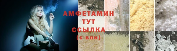 шишки Аркадак