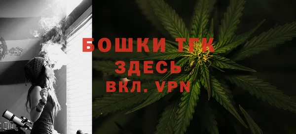 шишки Аркадак