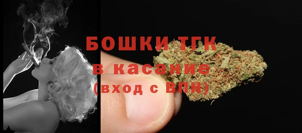 шишки Аркадак