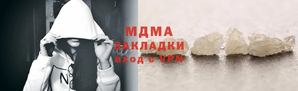 шишки Аркадак