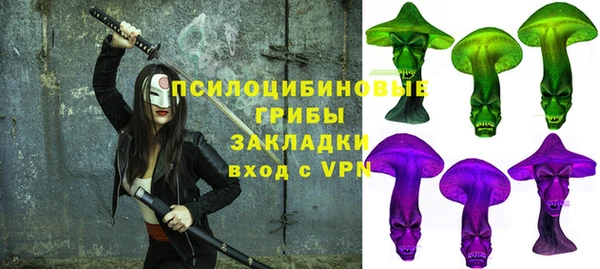 шишки Аркадак