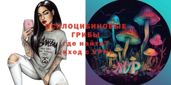 шишки Аркадак