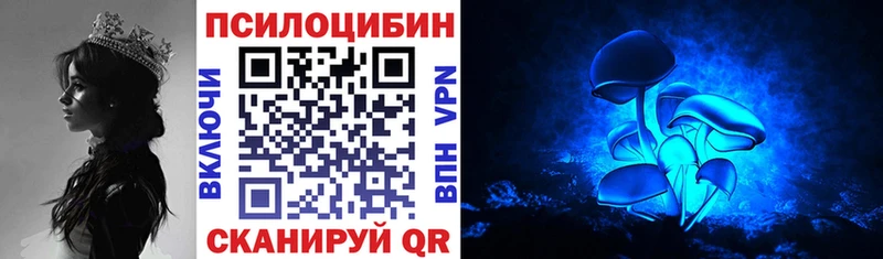 Псилоцибиновые грибы прущие грибы  Павловск 